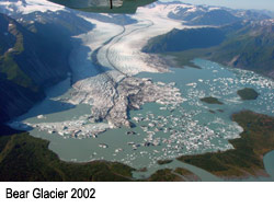 Bear Glacier, 2002