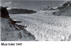 Muir Inlet, 1941