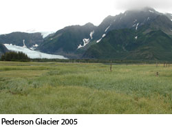 Pederson Glacier, 2005