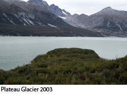 Plateau Glacier, 2003